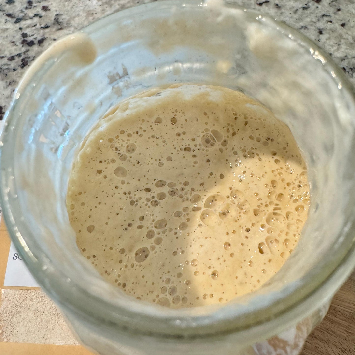 Dehydrated Sourdough Starter + Basic Set Sourdough