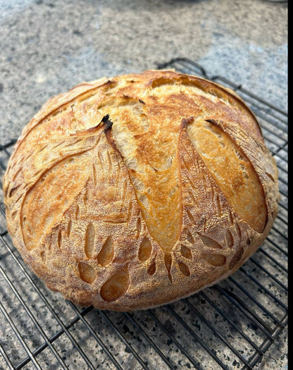 Dehydrated Sourdough Starter + Basic Set Sourdough