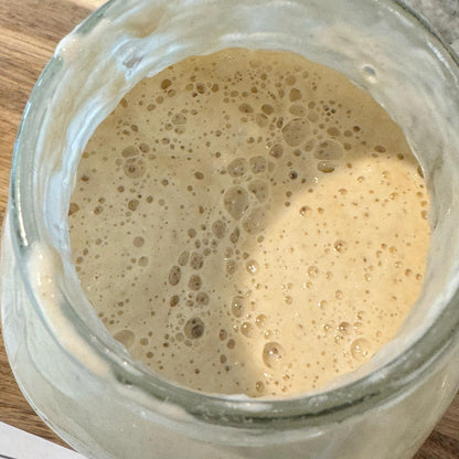 Dehydrated Sourdough Starter