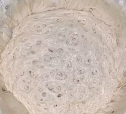 Dehydrated Sourdough Starter + Basic Set Sourdough